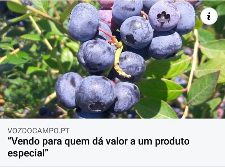 Entrevista à revista Voz do Campo
